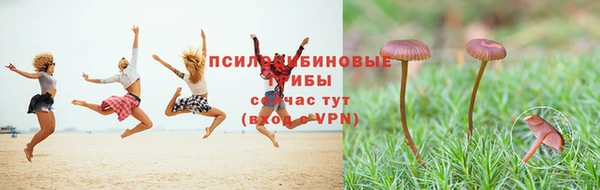 винт Белокуриха