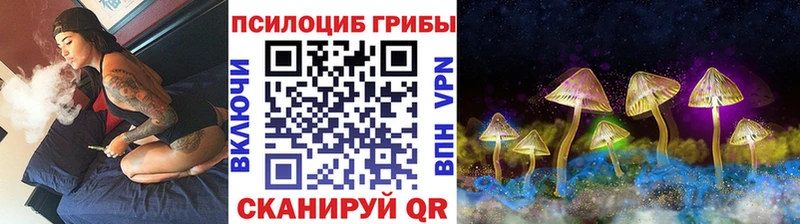 Купить где  Николаевск-на-Амуре  Псилоцибиновые грибы Cubensis 